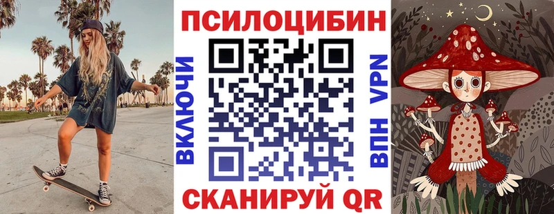 где найти   Павлово  Псилоцибиновые грибы Psilocybe 